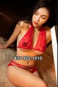 Asian escort girl Erica  Party Girl  (Toronto)